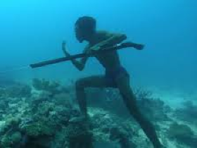 [image for initiative Bajau.png]