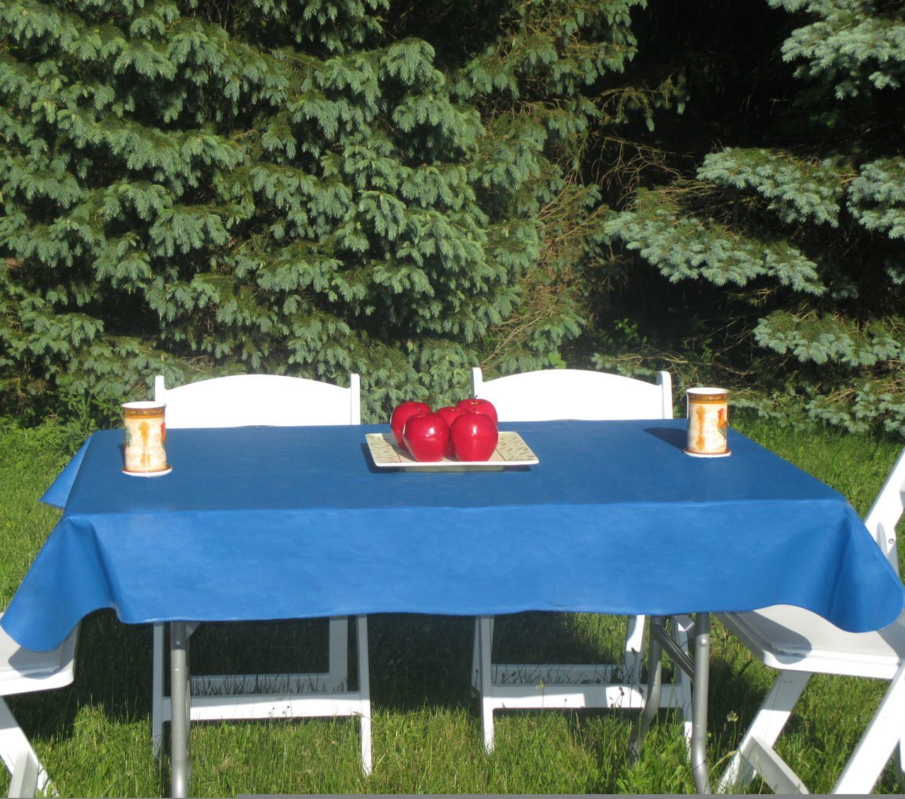 Royal_Blue_Rectangle_Vinyl_Tablecloth__82835_1438730414_350_750.jpg