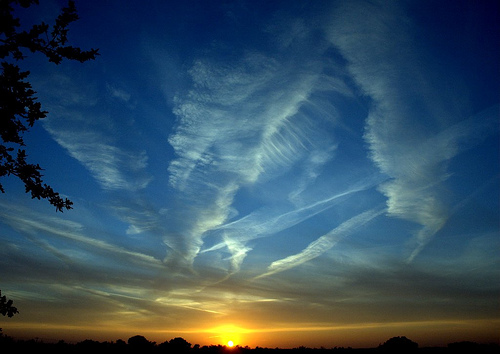 Golden Blue Sunset Mersea.jpg