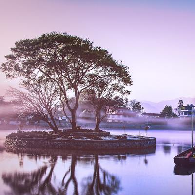 green-leafed-tree-in-a-park-surrounded-by-water-2456439_400x.jpg