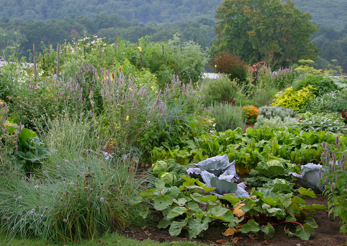 Kitchen-Gardens-Salem-Cross-Inn.jpg