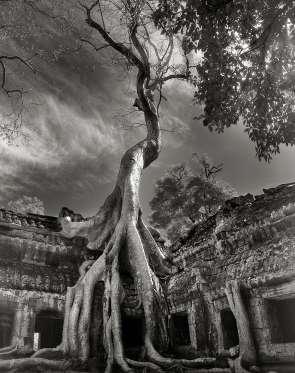 Cambodia.jpg