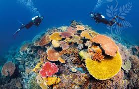 Great Barrier Reef2.jpg