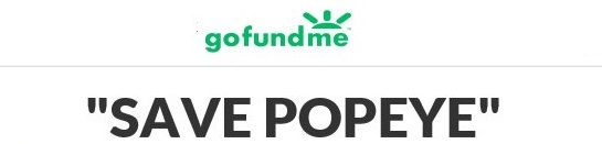 Go Fund Me.jpg