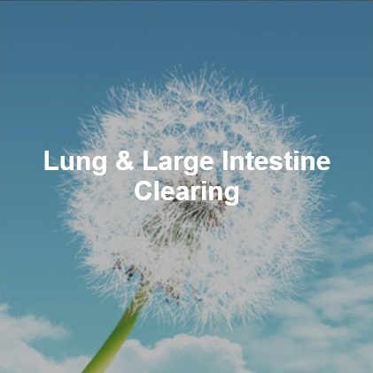 Lung.jpg