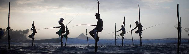 Fisherman in Sri Lanka.jpg