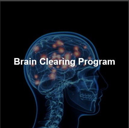 Brain Clearing Program.jpg