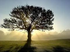 [image for World Spotlight Enlight1.jpg]