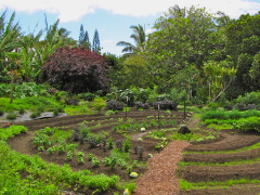 [image for Planet Spotlight hale-akua2.jpg]