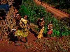 [image for Culture Spotlight pygmyheight_adapt_1190_1.jpg]