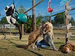 [image for Planet Spotlight exotic animal ownership.jpg]