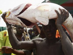 [image for Culture Spotlight 103274_my_fish_jpg1ba9dfe6b593ab95d29f20e926c40ada.jpg]