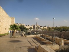 [image for World Spotlight gutman1.jpg]