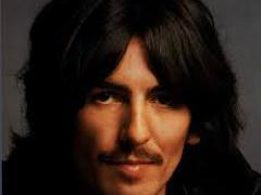 [image for World Spotlight Harrison.jpg]