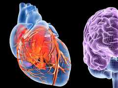 [image for World Spotlight How-to-Navigate-Mind-Heart-Connection-01-722x406.jpg]