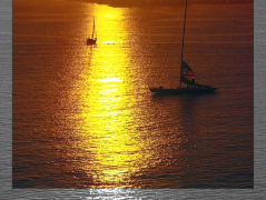 [image for Initiative SAILING IN SAN DIEGO HARBOR - SAMPLE PRINT.jpg]