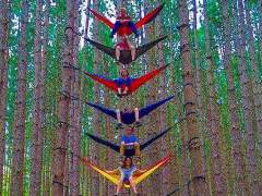 [image for World Spotlight FB_IMG_1462883727204.jpg]