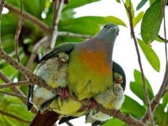 [image for World Spotlight Mother Protection.jpg]