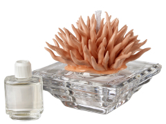[image for World Spotlight diffuzer 7.jpg]