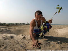 [image for World Spotlight Forest Man.jpg]