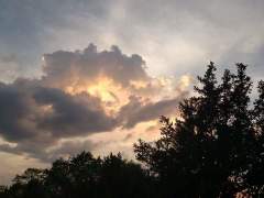 [image for World Spotlight FB_IMG_1464525960068.jpg]