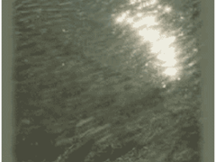 [image for World Spotlight Gutman2.png]