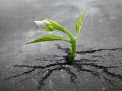 [image for World Spotlight 1E561CD5-00CB-43C1-A7D8-B6107222F461.jpeg]