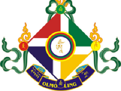 [image for culture spotlight olmo.png]