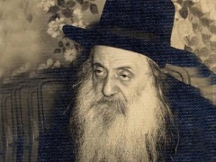 [image for World Spotlight Shimon_Sholom_Kalish_of_Amshinov.jpg]