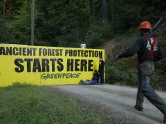 [image for World Spotlight 15-june-2004-southwest-oreg.jpg]